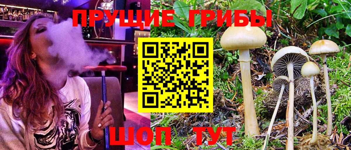 Галлюциногенные грибы мухоморы Мытищи